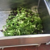 Lettuce and power green washing.